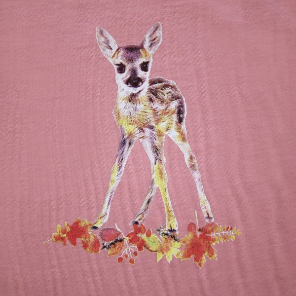 Shirt mit Rehdruck - langarm - rosé
