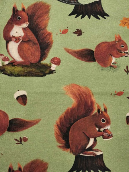 Shirt - langarm - Squirrel Family - Eichhörnchen