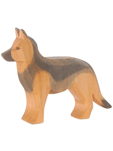 Schäferhund stehend