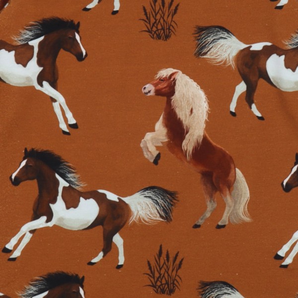 Shirt - langarm - Pferde - Joyful Horses