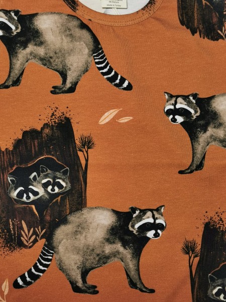 Shirt - langarm - Curious Raccoons - Waschbären