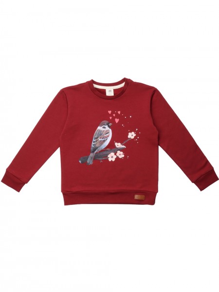 Sweatshirt - Little Sparrows - Spatzen