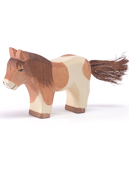 Shetland Pony stehend