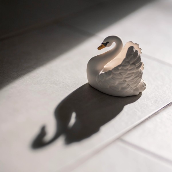 Badespielzeug Schwan - weiß - Naturkautschuk