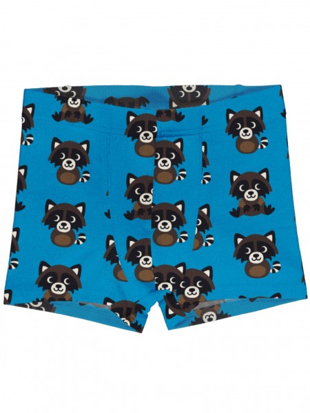 Boxer Shorts - Raccoon