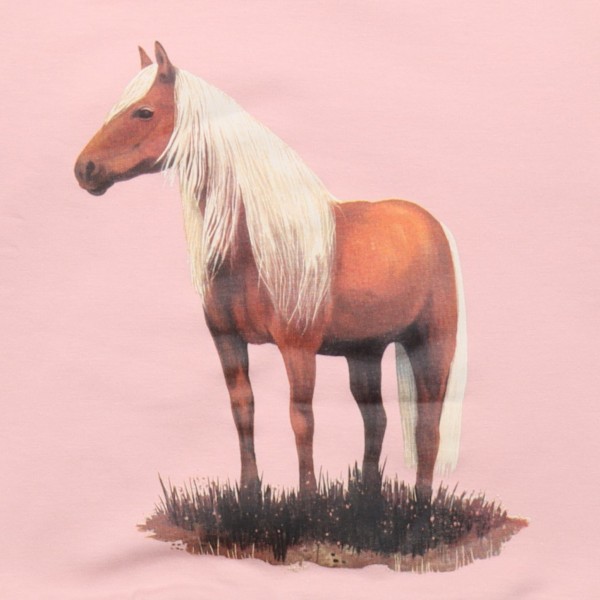 Sweatshirt - Beauty Horses