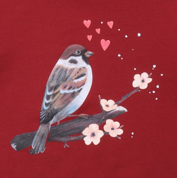 Sweatshirt - Little Sparrows - Spatzen