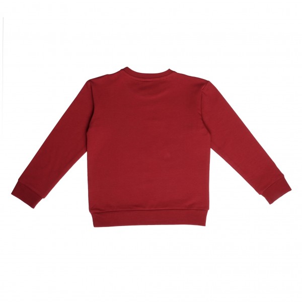 Sweatshirt - Little Sparrows - Spatzen