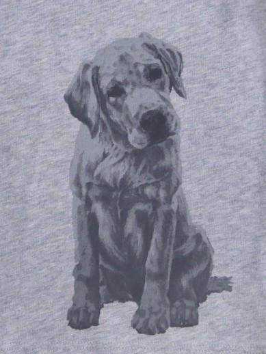 Shirt Hundedruck - kurzarm - silvermelange